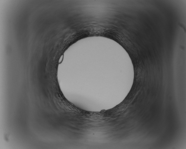 X0000101221153200807181545