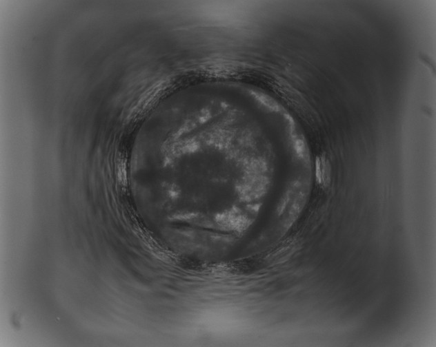 X0000101221155200807181545