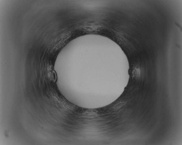 X0000101221156200807181545