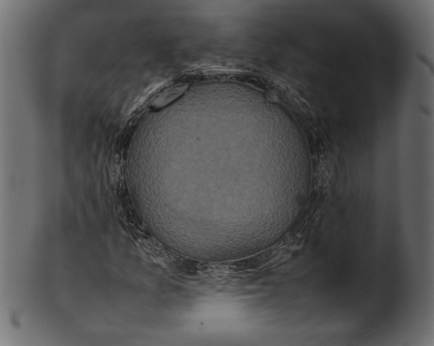 X0000101221157200807181545