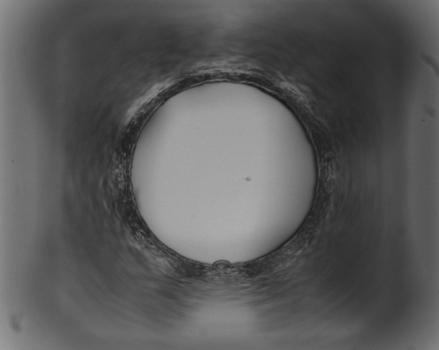X0000101221159200807181545