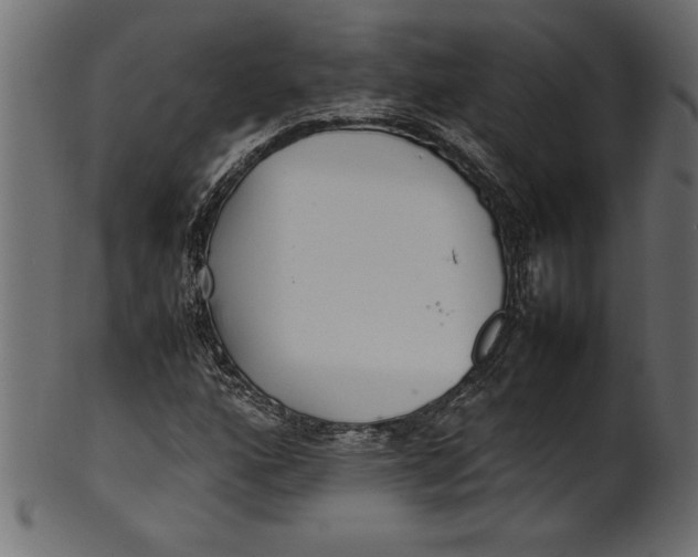 X0000101221160200807181545