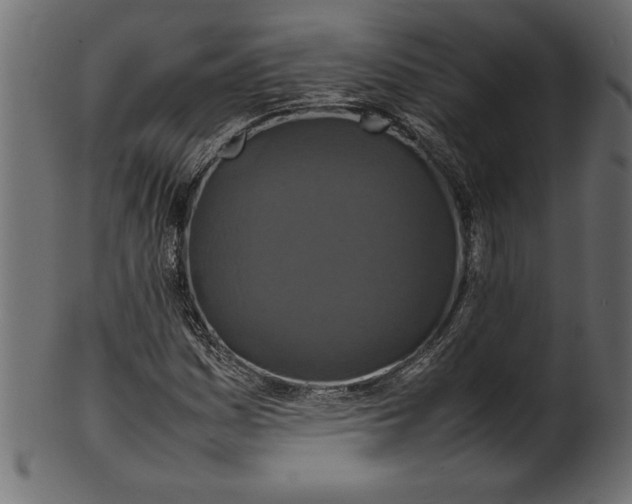X0000101221161200807181545