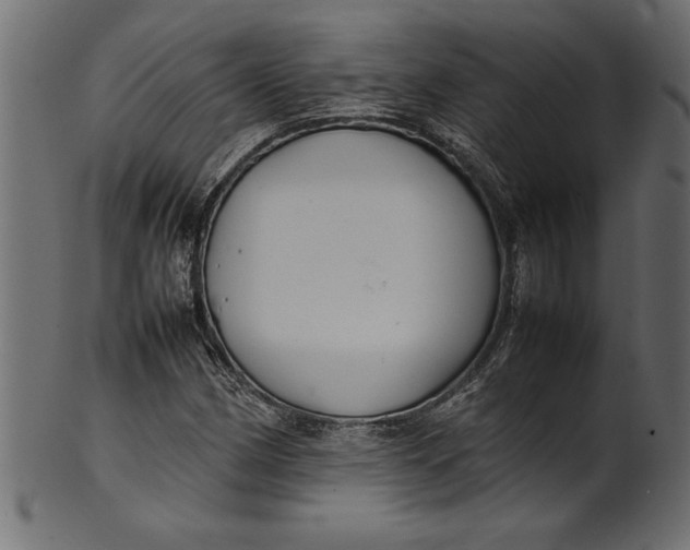 X0000101221162200807181545