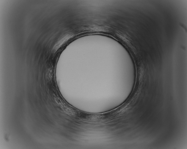 X0000101221163200807181545