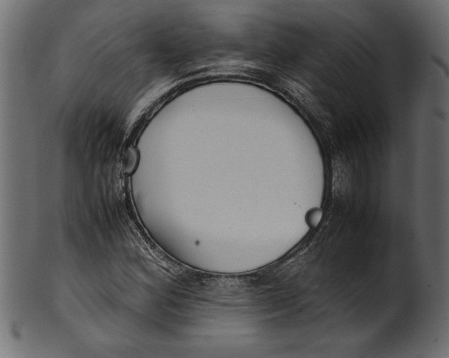X0000101221164200807181545
