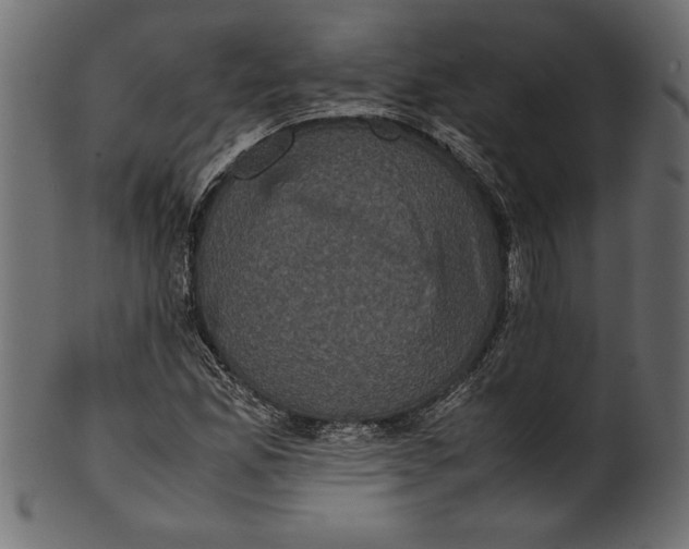 X0000101221165200807181545
