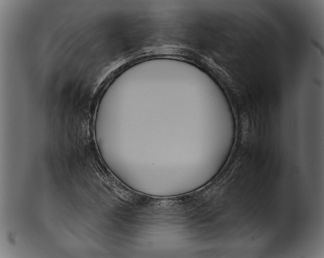 X0000101221166200807181545