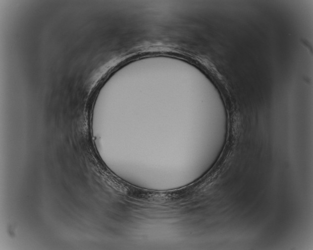 X0000101221167200807181545