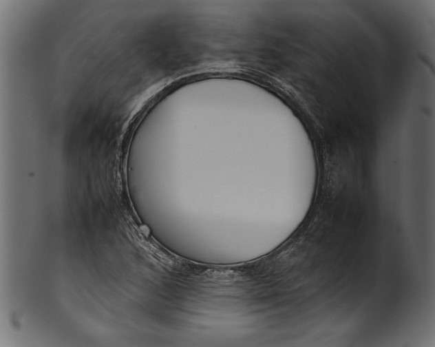 X0000101221168200807181545