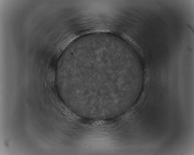 X0000101221169200807181545