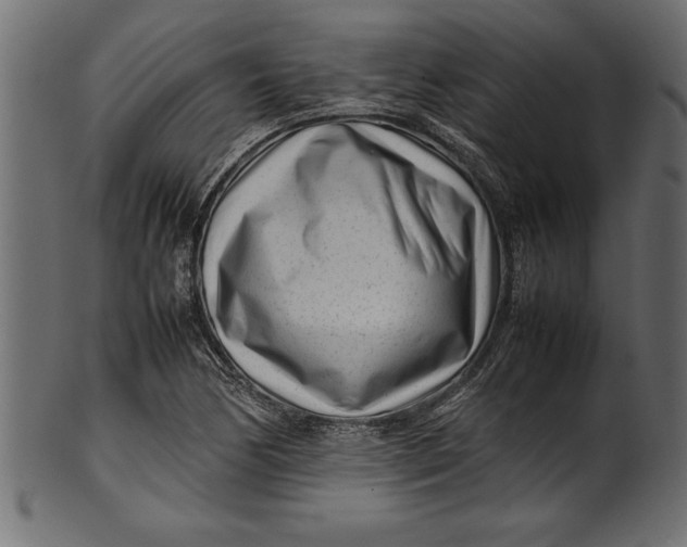 X0000101221170200807181545
