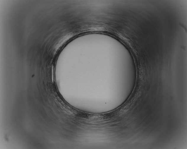 X0000101221171200807181545