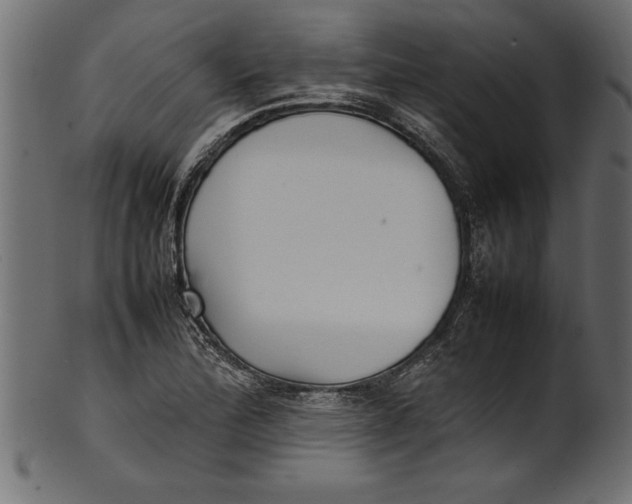 X0000101221172200807181545