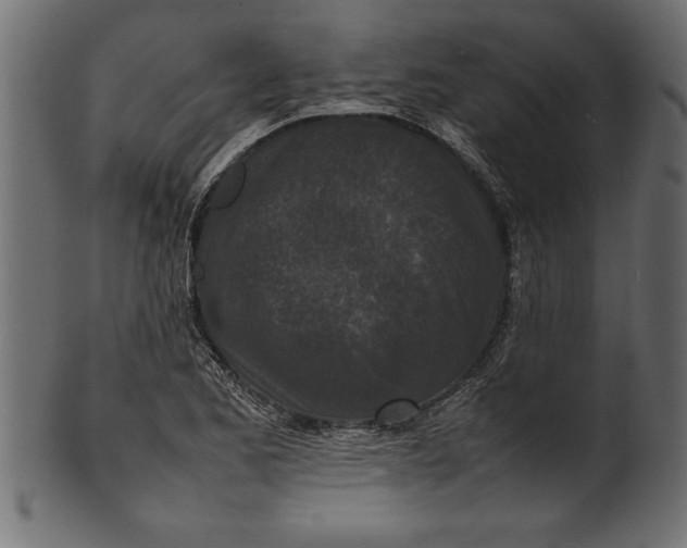 X0000101221173200807181545