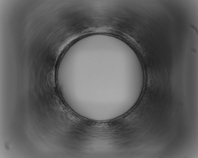 X0000101221174200807181545