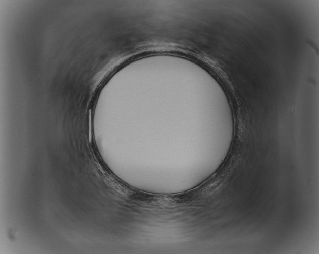 X0000101221175200807181545