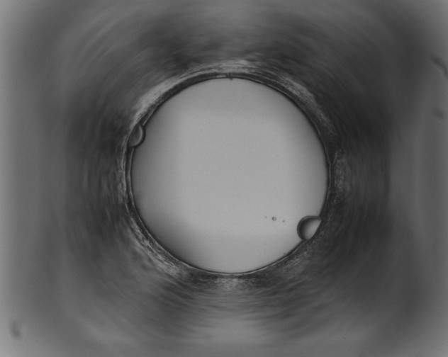 X0000101221176200807181545