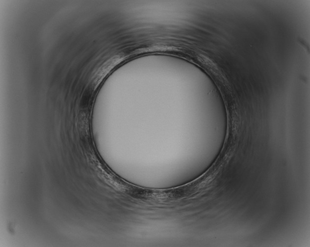 X0000101221177200807181545