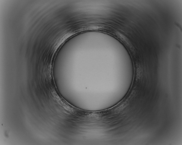 X0000101221178200807181545