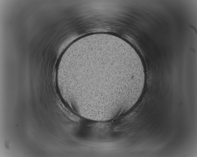X0000101221179200807181545