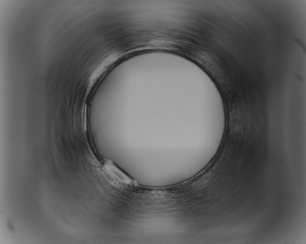 X0000101221180200807181545