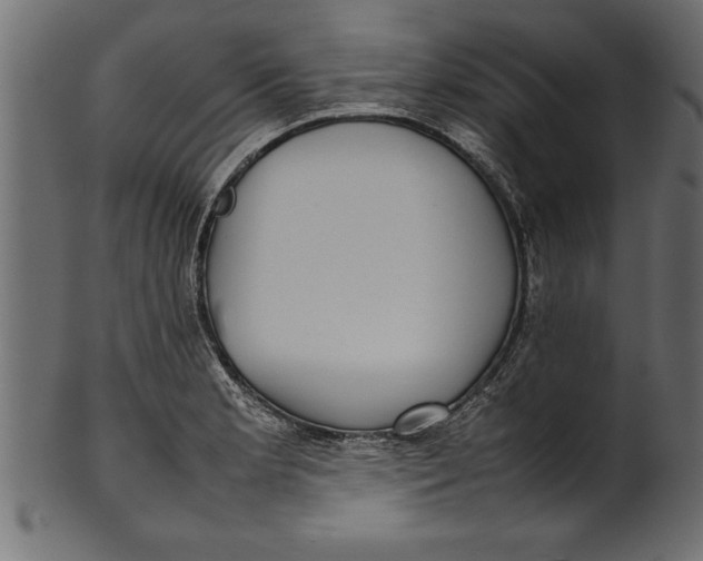 X0000101221181200807181545