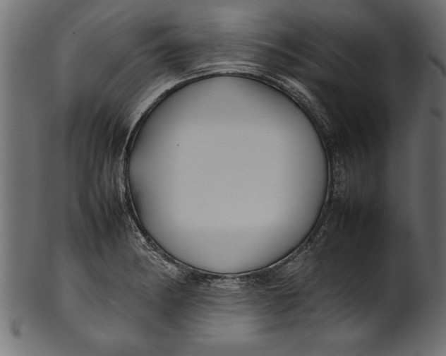 X0000101221182200807181545