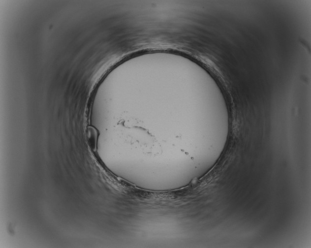 X0000101221183200807181545