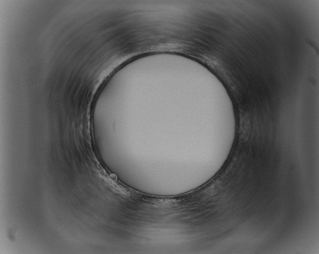 X0000101221184200807181544