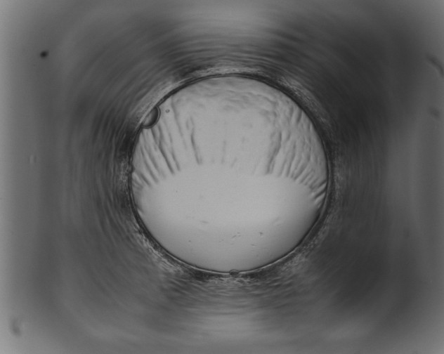 X0000101221185200807181544