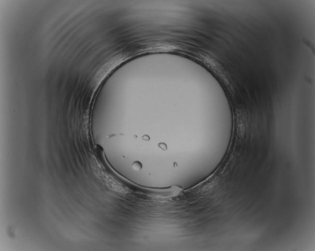 X0000101221186200807181544