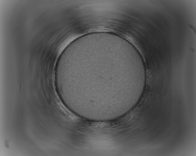 X0000101221187200807181544