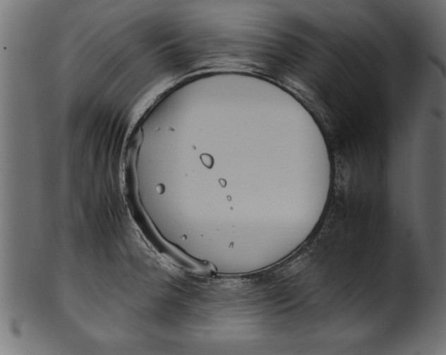 X0000101221188200807181544