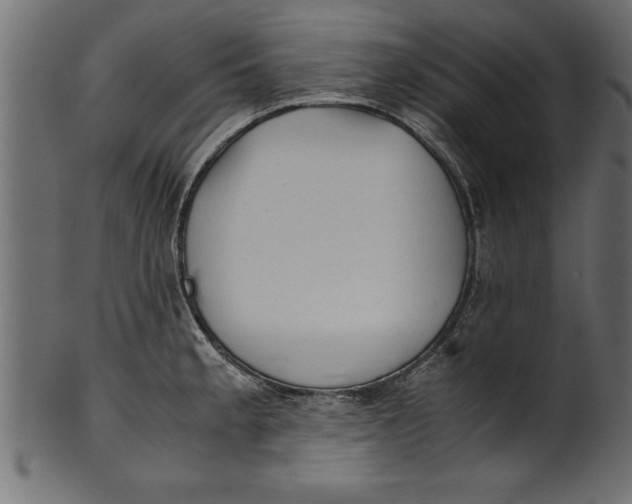 X0000101221189200807181544