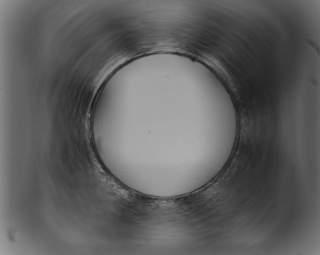 X0000101221190200807181544