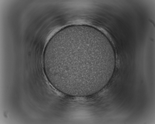 X0000101221191200807181544