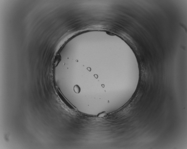 X0000101221192200807181544