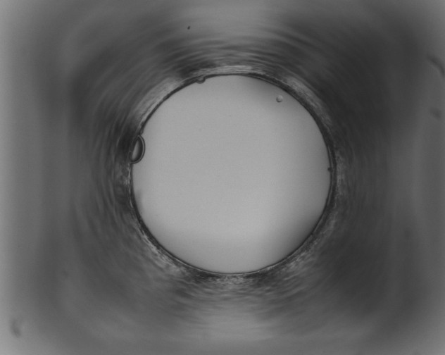 X0000101221193200807181544