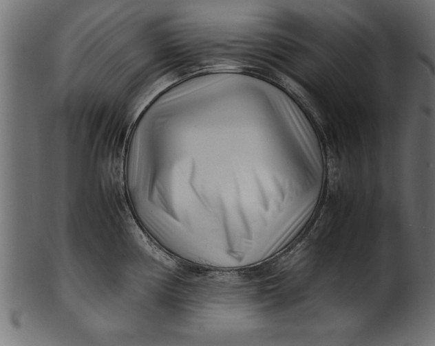 X0000101221194200807181544