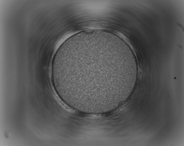 X0000101221195200807181544