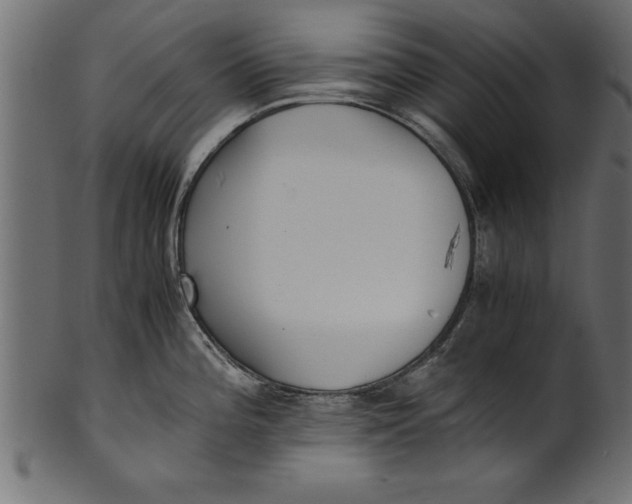 X0000101221196200807181544