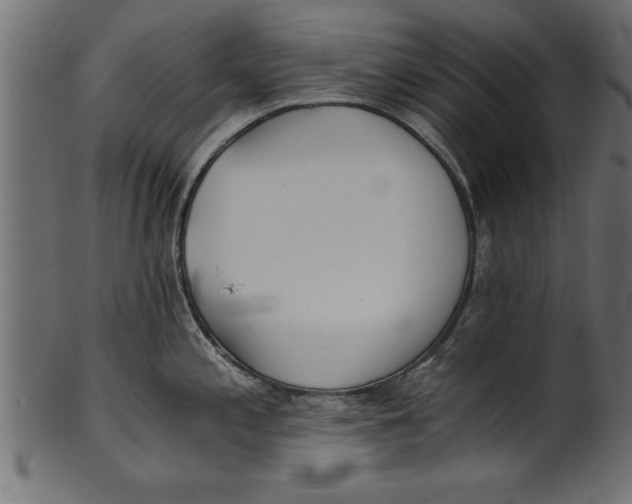 X0000101221197200807181544