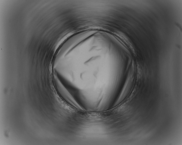 X0000101221198200807181544