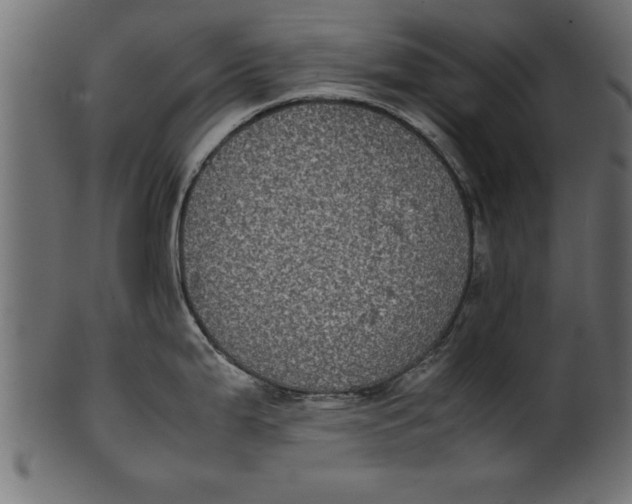 X0000101221199200807181544