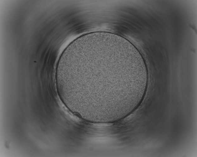 X0000101221200200807181544