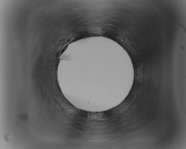 X0000101221201200807181544