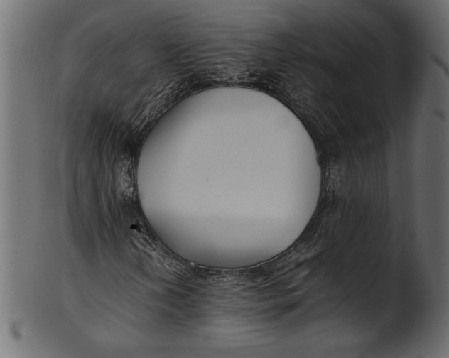 X0000101221202200807181544