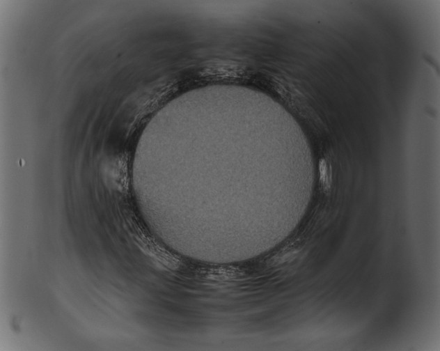 X0000101221203200807181544