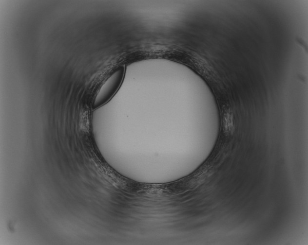 X0000101221204200807181544